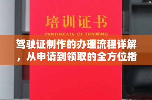 轮台驾驶证制作的办理流程详解，从申请到领取的全方位指南
